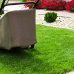 Want To Improve Your Lawn? Three Ways To Do It