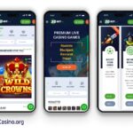 Aviator game play Valor local casino Aviator with Dual Wagers, Automobile Cashout & Cellular Software Information