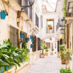 Charlotte Escorts NC Girls Companions